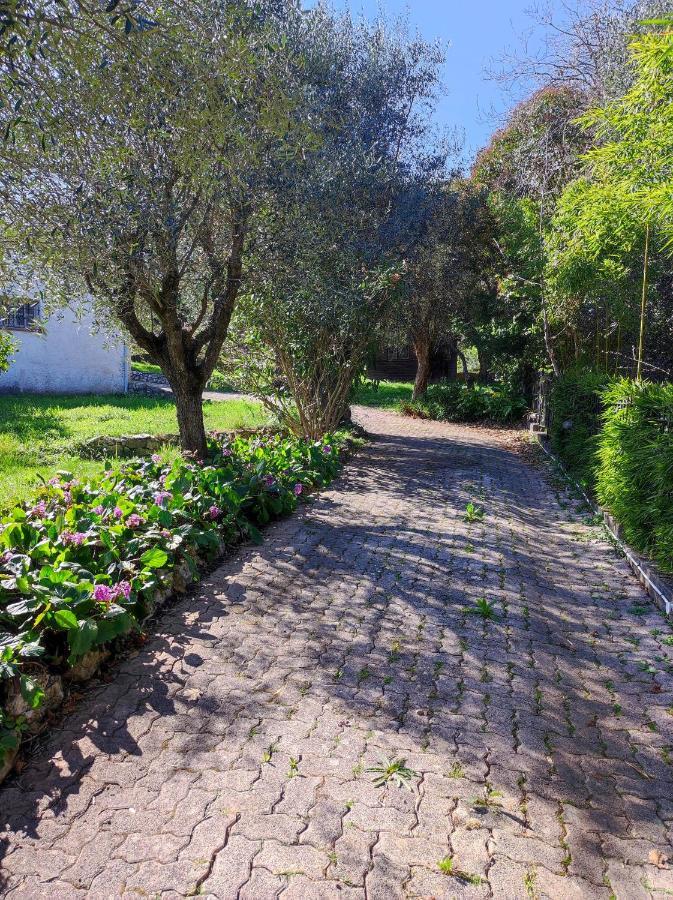 Villa Olivaie St Ange La Gaude Εξωτερικό φωτογραφία